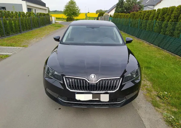 lubuskie Skoda Superb cena 57900 przebieg: 145000, rok produkcji 2019 z Miłakowo